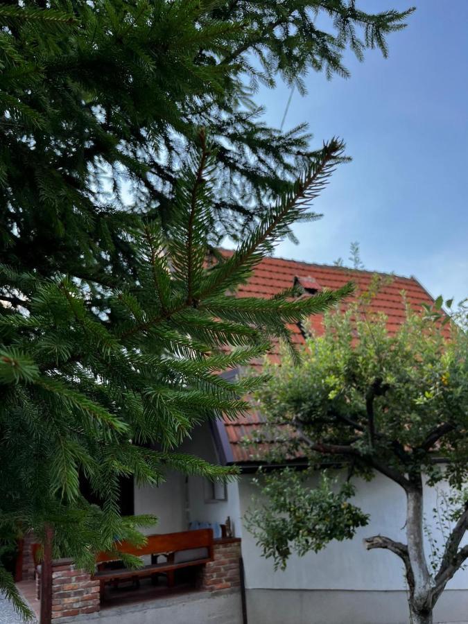 Holiday Home Amila Visoko Extérieur photo